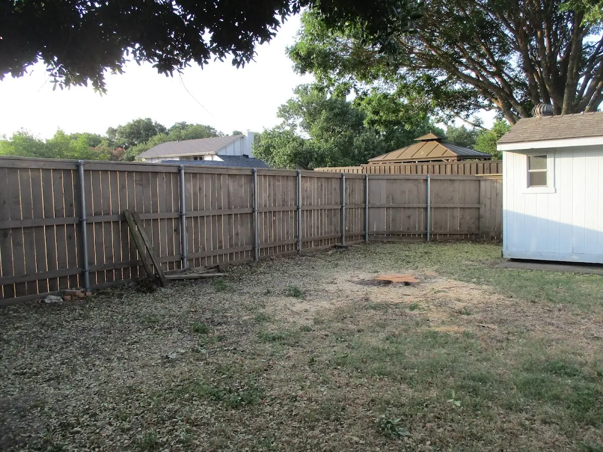 Cleared yard after professional tree removal in Middletown
