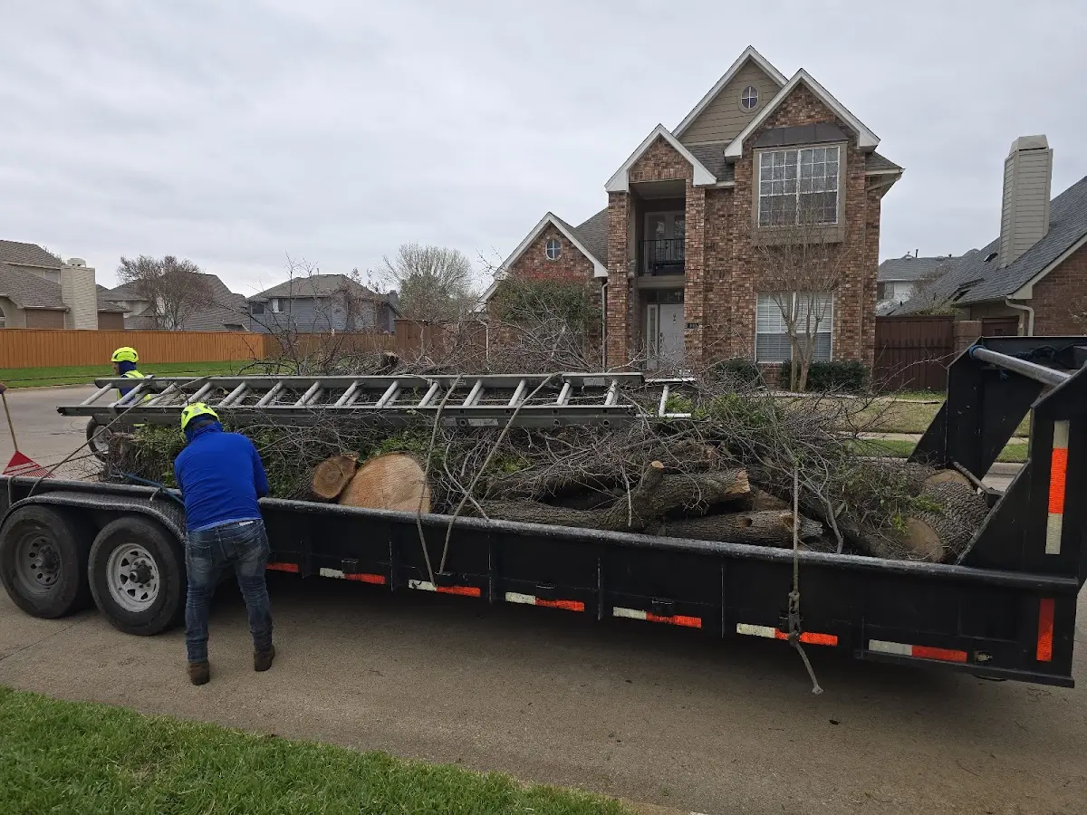 Expert Tree Fertilization with proper safety equipment in Middletown